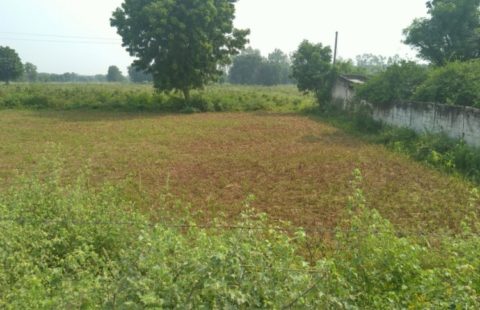 Plot for Sale in Rancharda