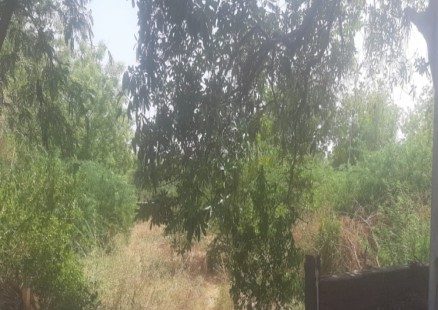 NA Plot Available For Sale At Saket 2